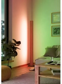 Eglo 900392 - LED RGBW Dimmelhető állólámpa ANCHORENA-Z LED/35W/230V