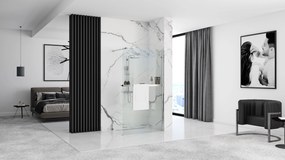 Rea Aero, zuhanyparaván WALK-IN 80x195 cm + EVO polc és törölközőtartó, KPL-K0615
