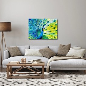 Páva képe (70x50 cm)