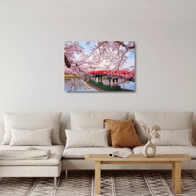Üveg kép - Hirosaki, Japán (70x50 cm)