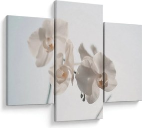 Fehér orchidea képe (90x60 cm)