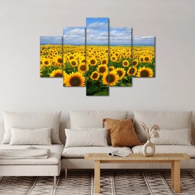 A napraforgó mező képe (150x105 cm)