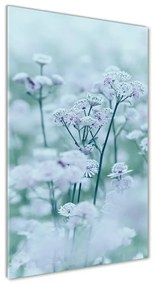 Akrilkép Astrantia oav-61315744