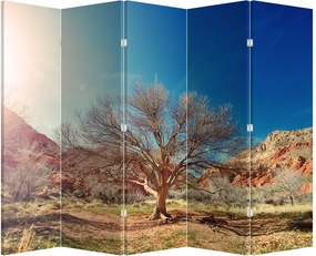 Paraván - Fa a sivatagban (210x170 cm)
