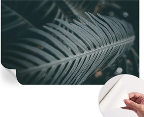 Öntapadós fotótapéta Nappaliba és Hálószobába Zöld levél 416x254