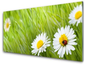 Modern üvegkép Grass Nature Daisies 120x60cm 2 fogas