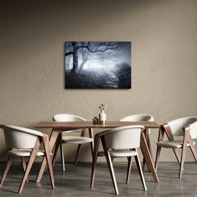 Kép - Út a ködben (70x50 cm)