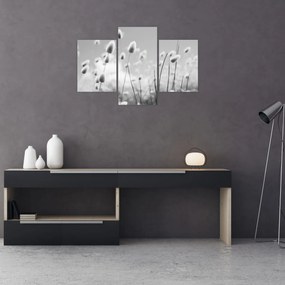 Kép - Boho nyuszi farok fű (90x60 cm)