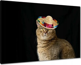 Vászonkép 100x70 Macska kalappal Sombrero