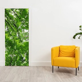 Fotótapéta ajtóra - Kilátás a fák tetejére (95x205cm)