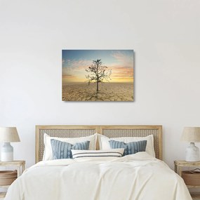 Kép - fa a sivatagban (üvegen) (70x50 cm)