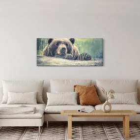 Medve képe (120x50 cm)