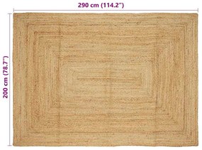 Szőnyeg Bézs 200 x 290 cm Juta