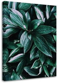 Gario Vászonkép Trópusi növény levelei Méret: 40 x 60 cm