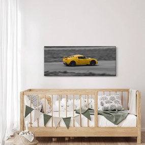 Kép - Gyors autó (120x50 cm)