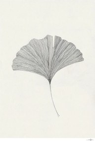 Poszter 50x70 cm Ginkgo Leaf – Ana Frois – The Poster Club