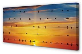 Canvas képek Madarak a kötelek naplemente 100x50 cm
