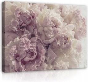Vászonkép Falra Virágok Bazsarózsa A Nappali Hálószobájába Modern 60x40