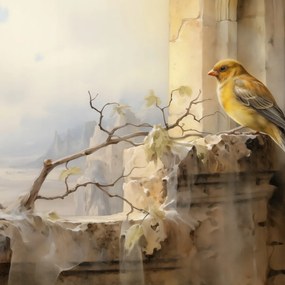 Poszter 40x40cm Kanári a szélen