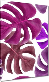 Vászonkép 70x100 Monstera Levelek Lila