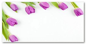 Akrilkép Lila tulipánok oah-78573099