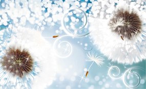 Fotótapéta pitypang bokeh fehér vinil kék 368x254 +ragasztó