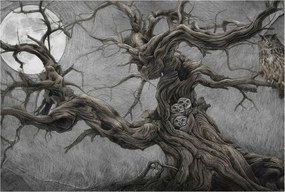 Stílusos Dekoratív Fotótapéta Flizelin Rejtélyes bagoly 104x70 Ragasztó