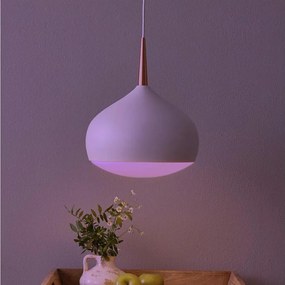 Eglo 97087 - LED RGBW dimmelhető függesztett lámpa COMBA-C LED/18W/230V