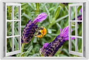 Poszterek 90x60 Levendula világ