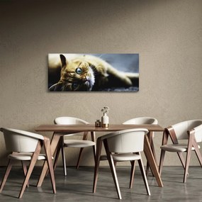Macska képe (120x50 cm)