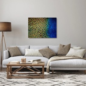 Üveg kép - Pávatollak (70x50 cm)