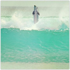 Poszterek 100x100 Szimpatikus delfin óceán