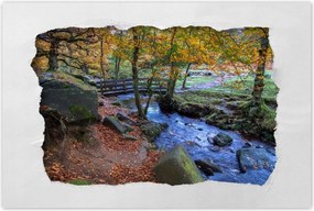 Poszterek 60x40 Híd a parkban