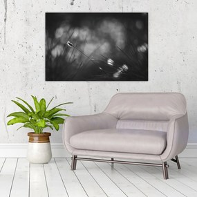 Kép - Mezei fű (90x60 cm)