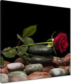 Vászonkép 50x50 Spa Wellness Relaxáció Víz