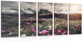 5-részes kép rét tele virágokkal