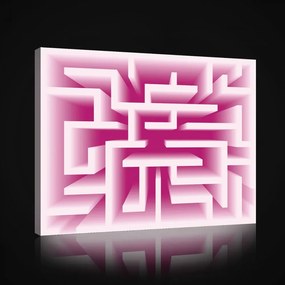Vászonkép, Rózsaszín labirintus, 100x75 cm méretben
