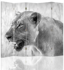 Gario Paraván Lioness Méret: 180 x 170 cm, Kivitelezés: Klasszikus paraván