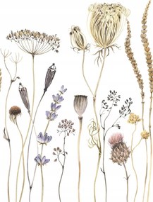 Falfestmény falpanel Mezei virágok, rusztikus rét virágzásban 367423 Rasch