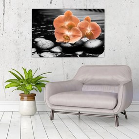 Kép - Narancssárga orchideák (90x60 cm)