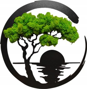 Kép Moha Naplemente Neki Moha Szerelem A Falon