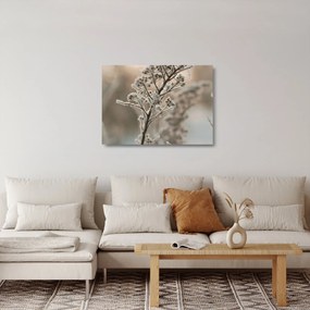 Üveg kép - Növény fagyban (70x50 cm)