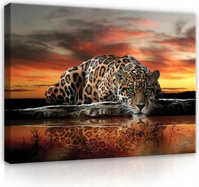 Vászonkép Tigris Állatok Nagy Szafari Hálószoba Nappali Vászon Fal 100x70