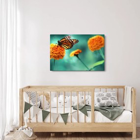 Egy pillangó képe (90x60 cm)
