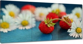 Vászonkép 60x30 Vízszintesek és margaréták