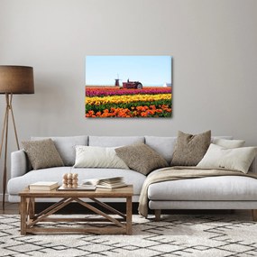 Tulipánfarm képe (70x50 cm)