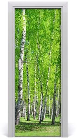 Ajtó tapéta nyírfa erdő 75x205 cm
