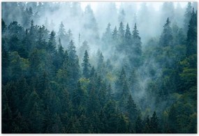 Poszterek 200x135 Erdő a ködben Utazás