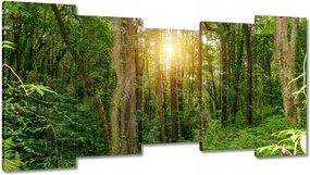 Festmények 150x80 Tájkép park