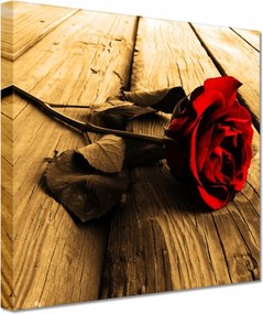 Vászonkép 20x20 Rózsa szépia deszkákon